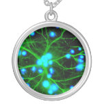 Astrocyte Are Star Shaped Glial Cells in the Brain Necklaces