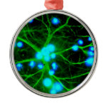 Astrocyte Are Star Shaped Glial Cells in the Brain Christmas Tree Ornaments