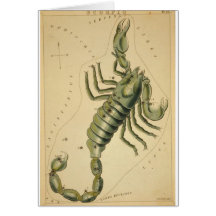 astrological_sign_scorpio_2 greeting card