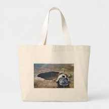 Astronaut and the Moon Bags