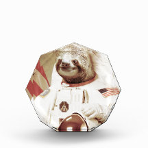Astronaut Sloth Acrylic Award