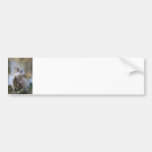 Astronaut Squirrel Bumper Stickers
