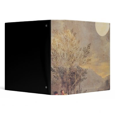 Astronomical Observations 2 3 Ring Binders by bridgemanart