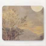 Astronomical Observations 2 Mouse Pads