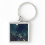 Astronomical Observations Keychain