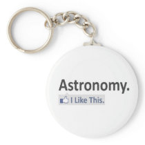 Astronomy...I Like This Key Chains