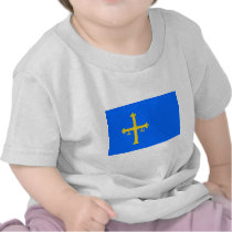 Asturias, A Celtic Region T-shirt