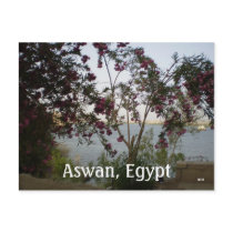 Aswan, Egypt Post Card