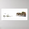 Asymmetry posters