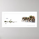 Asymmetry Posters