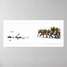 Asymmetry Posters