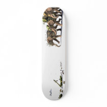 asymmetry skateboards