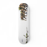 Asymmetry skateboard