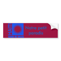 aT-013b Bumper Sticker