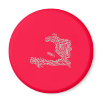 aT-028s magnets