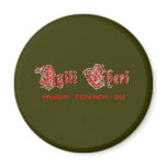 aT-033 magnets