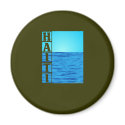 aT-035 magnets