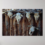 At a Navajo homesite, Monument Valley, Utah, U.S.A Posters