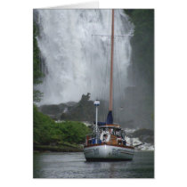 At anchor cards