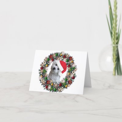 At Christmas - Bichon Frise Greeting Cards