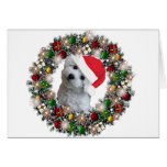 At Christmas - Bichon Frise Greeting Cards