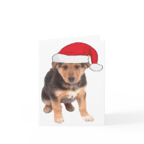 At Christmas - German Shepherd Puppy cards by malibuitalian At Christmas - German Shepherd Puppy cards