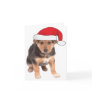 At Christmas - German She...