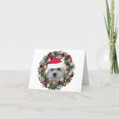 At Christmas - Havanese Greeting Cards