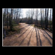 at first light postcards