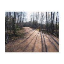 at first light postcards