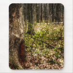 At Home In The Forest Mouse Pad