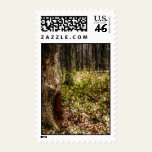 At Home In The Forest Mouse Postage