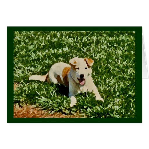 AT- I'd rather be chasing butterflies Greeting Cards