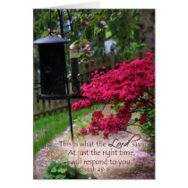 "At just the right time, I will respond... cards