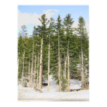 At Monarch Pass posters