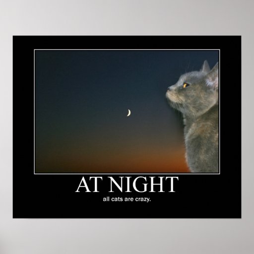 at_night_cats_are_crazy_artwork_posters-r7c24e04050ef4cd2a1e2e61763341c48_wv3_8byvr_512.jpg