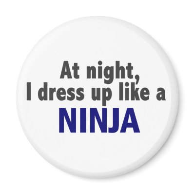 At Night I Dress Up Like A Ninja Magnets by professiongifts