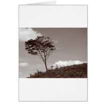 at one cards by blacqbook at one cards