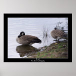 At rest poster