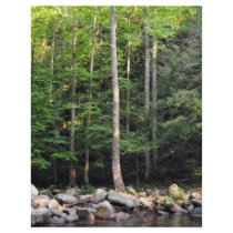 At Rivers Edge letterhead
