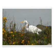 at river's edge photograph
