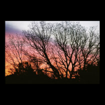At Sunset Photographic Poster posters