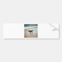 At the Beach Bumper Sticker