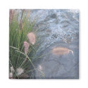 at the beach magnets by DonnaGrayson_Photos at the beach magnets