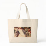 At the cirque fernando canvas bag