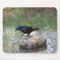 At the Creek mousepads