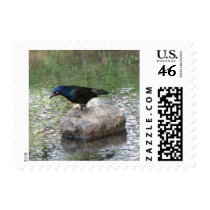 At  the Creek postage