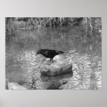 At the Creek Poster
