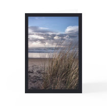 At the Edge of the Dune cards