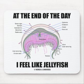 At The End Of The Day I Feel Like Jellyfish Mousepad